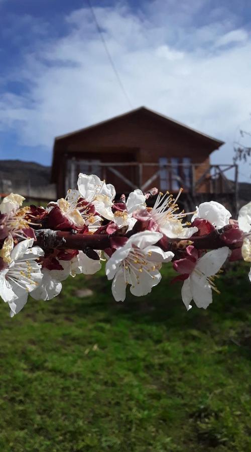 瓜达尔港Sol De La Patagonia住宿加早餐旅馆 外观 照片